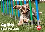 Agility - Sport und Spass (Wandkalender 2022 DIN A3 quer)