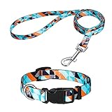 Popuppe Welpenhalsbänder mit Leine Set,Hundehalsband Verstellbares Weich & Komfort Nylon Hunde Halsband für Kleine Mittlere Hunde Welpen Katzen(Grün)