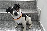 Strickanleitung Hundetuch, leicht zu stricken in nur einer Stunde!: Schritt für Schritt Anleitung