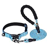 U-picks Hundeleine und Halsband Set 5 FT Starke Hundeleine mit Bequemen Gepolsterten Griff, Starke Reflexnähte der Trainingsleine für Sicherheit Nachts, eignet für Alle Größe Hunde