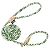 Grand Line Hundeleine aus Nylon mit Gepolstertem Griff, Geeignet für Kleine, mittlere und große Hunde und Katzen - 1,50 m Grau