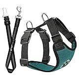 SlowTon Hundegeschirr mit Sicherheitsgurt Double luftdurchlässiges Latex-Gittergewebe Geschirr reguläre Reisenweste Autosicherheitsgurt für alle alltäglichen sportlichen Aktivitäten dem Vierbeiner