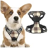rabbitgoo Hundegeschirr Mittelgroße Kleine Hunde Geschirr Hund Mittel Anti Zug Hundegeschirr Brustgeschirr Verstellbar Sicherheitsgeschirr Welpengeschirr Labrador