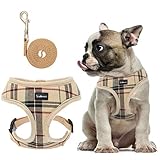 SCENEREAL Welpengeschirr und Leine Set – Weiches Netzgewebe No Pull Weste Kleine Hunde Gepolstertes Geschirr für Welpen & Katzen