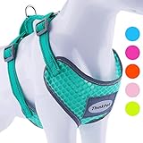 ThinkPet No-Pull Hundegeschirr - Atmungsaktiv Vest Geschirr Mesh Brustgeschirr für Hunde, reflektierend Verstellbare Softgeschirr Sicher Kontrolle, Geringes Eigengewicht, Leichtes Anlegen
