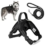 Trongle Hundeweste, Nicht Ziehendes Geschirr mit Griff, Einfache Kontrolle, Komfortabel Atmungsaktiv, Air-Mesh, Verstellbarer Brustgurt für Hunde mit Nylon-Leine (Schwarz,XL)
