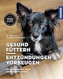 Gesund füttern - Entzündungen vorbeugen: Wie Ernährung Haut, Darm und Gelenke beeinflusst