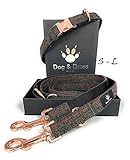 Dog & Dress Hundehalsband Und Leine Set, Roseogld, Verstellbar, Hundeleine, 2m, 3 Ringe, Karabiner, Große Kleine Hunde, Nylon, Geschenk Hund