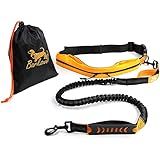 Joggingleine Hunde - Bauchgurt Hundeleine Zum Joggen und Hunde Laufen – Canicross Gürtel - Joggingleine Große Hunde und Mittelgroße Hunde bis 60 kg