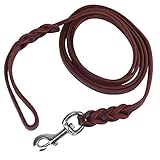 1,2m / 1,6m / 2,1m Leder Hundeleine Hundeführleine Haustier Hundeleine Sicherheitsseil Ledergürtel Leder Hundehalsband & Leine für Haustier Laufen Gehen Ausbildung, 1,2 cm Breite(1.6m)