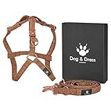 Dog & Dress Hundeleine mit Geschirr, Set, Argos, Rose Gold, Hundegeschirr und Leine Verstellbar, No Pull, Karabiner, Nylon Tweed, Kleine + Mittelgroße + Große Hunde, Geschenk Hund