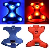 EXPERSOL LED Mesh Harness (Mittel, Rot)