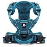 Tineer Reflektierendes Nylon großes Haustier Hundegeschirr 3M reflektierende Weste mit Griff Allwetter-Hundedienst gepolsterte justierbare Sicherheits-vehicular führt für Hunde Haustier (XL, Sky Blue)