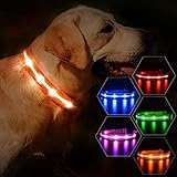 MASBRILL LED Leuchthalsband für Hunde USB Aufladbar Wasserdichtes Hundehalsband Leuchtend Längenverstellbarer Haustier Sicherheit Halsband mit 3 LED-Modi für Klein Mittlere Große Hunde, Orange M
