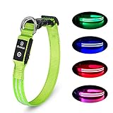 PcEoTllar LED Hundehalsband Wiederaufladbare USB Leuchthalsband 100% Wasserdichtes Leuchtendes Hunde Halsband Einstellbare Super Helle für Kleine Mittlere Große Hunde - Grün - M