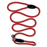 lionto Retrieverleine Hundeleine Führleine Zugleine Länge 170 cm Farbe Rot