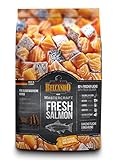 Belcando Mastercraft Fresh Salmon [500g] Trockenfutter für Hunde | 80% Frischfleisch | Hundefutter getreidefrei mit Lachs | sortenrein | für alle Rassen