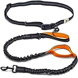 Hundefreund Joggingleine für große Hunde ab 15 kg | Elastische Freihandleine mit leichtem Bauchgurt | Abnehmbare Hundeleine mit 2 weichen Schlaufen | Orange Laufleine (120 cm, dehnbar bis 170 cm)