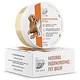 BenePura Pfotenbalsam Hund - Regeneriert Pfoten, Nase und Haut - Beruhigt Schnitte, Kratzer und Wunden - 100% Natürlicher Balsam für Hunde, Katzen und andere Haustiere - 40 ml