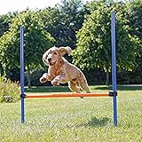 Trixie 3207 Dog Activity Agility Hürde, Kunststoff, 123 × 115 cm, ø 3 cm, blau/orange