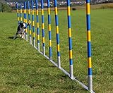 Callieway Orig Agility Slalom, TRICHTERSLALOM®, Gassenslalom, Agility Channel Weaves (FCI konform)