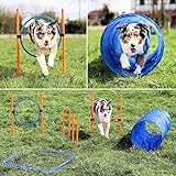 vabiono Agility Dog Trainings Set X Tunnel-Sprungring-Hürden-Slalom-Stangen für Hunde