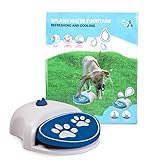 COOLPETS Splash Water Fountain - Wasserspaß für Haustiere - Lieferung mit Zwei Düsen - Trinkwasser für Hunde - Trinkbrunnen für Haustiere - Blau