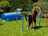 Dog Agility Set Profi