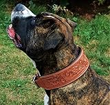 Ikarus Leder Halsband Braun unterlegt Gravur/geprägt extra BREIT Hundehalsband M L XL Tysons (XL)
