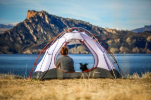 Camping mit Hund