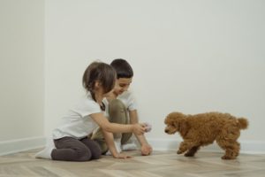 Ein Ratgeber zu Familienhunde