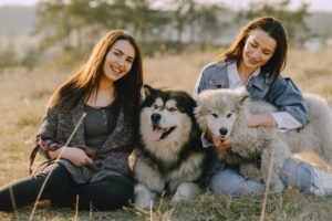 Der passende Hund zum Besitzer