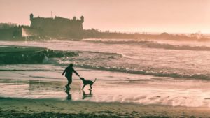 Mann spielt mit seinem Hund im Freien.