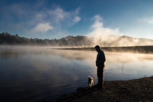Hund am See