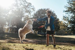 Ein Mann trainiert seinen Hund mit einer Reizangel.