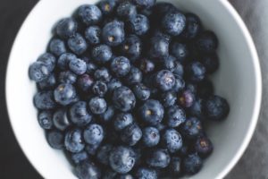 essen hunde heidelbeeren