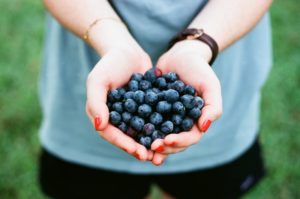 Dürfen Hunde Blaubeeren essen?