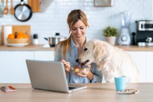 Dürfen Hunde Paprika essen? Hund isst vom frühstück des Frauchens mit