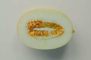honigmelone-geschnitten