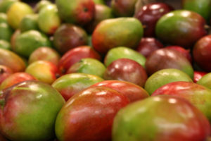 Einige Mangos