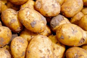 Dürfen Hunde Kartoffeln essen?