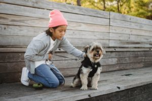 Wir suchen gemeinsam das beste Hundegeschirr für kleine Hunde
