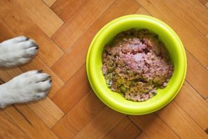Nassfutter für Hunde