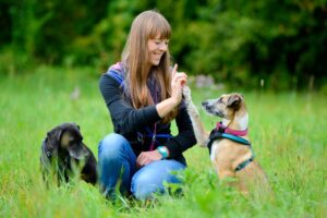 Bild der Hundeschule Hundi Training