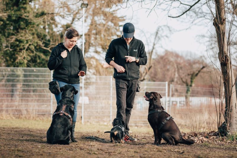 Teamfoto Dogworkz