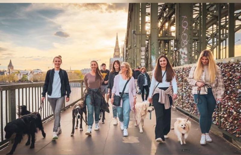 Hundeschule Rütter DOGS Köln