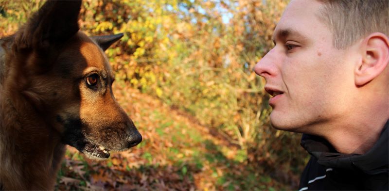 Hundeschule Dog4