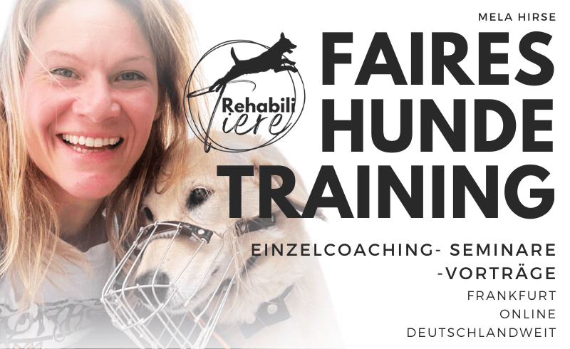 Hundeschule RehabiliTiere