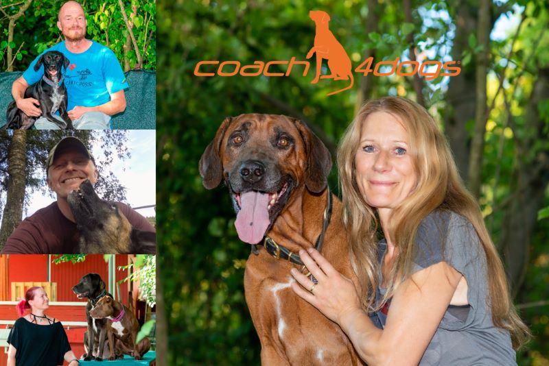 Hundeschule Coach4Dogs