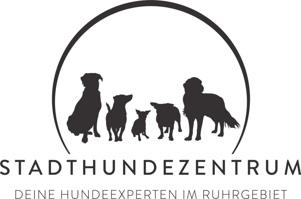 Hundeschule Familienpfoten